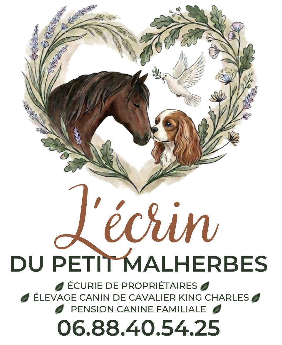 Du Petit Malherbes